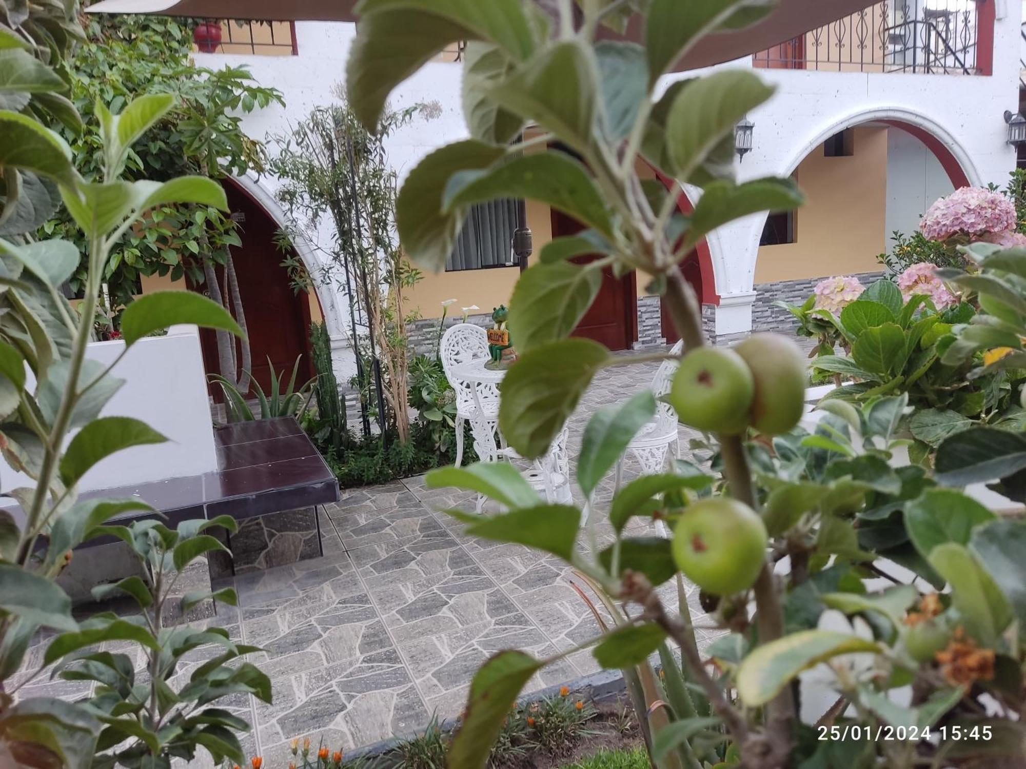מלון ארקוויפה Casa Baraquel מראה חיצוני תמונה